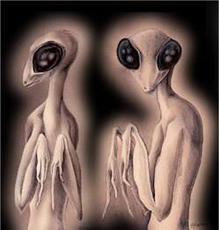 80f-Mantis-wezen-
