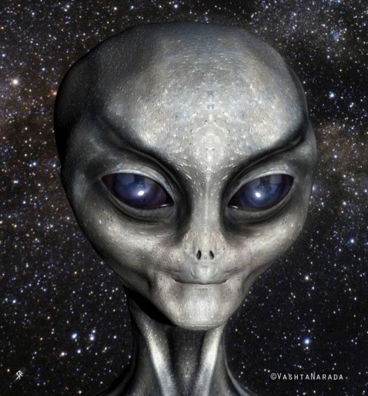 80g-De-Greys-of-Zetas-