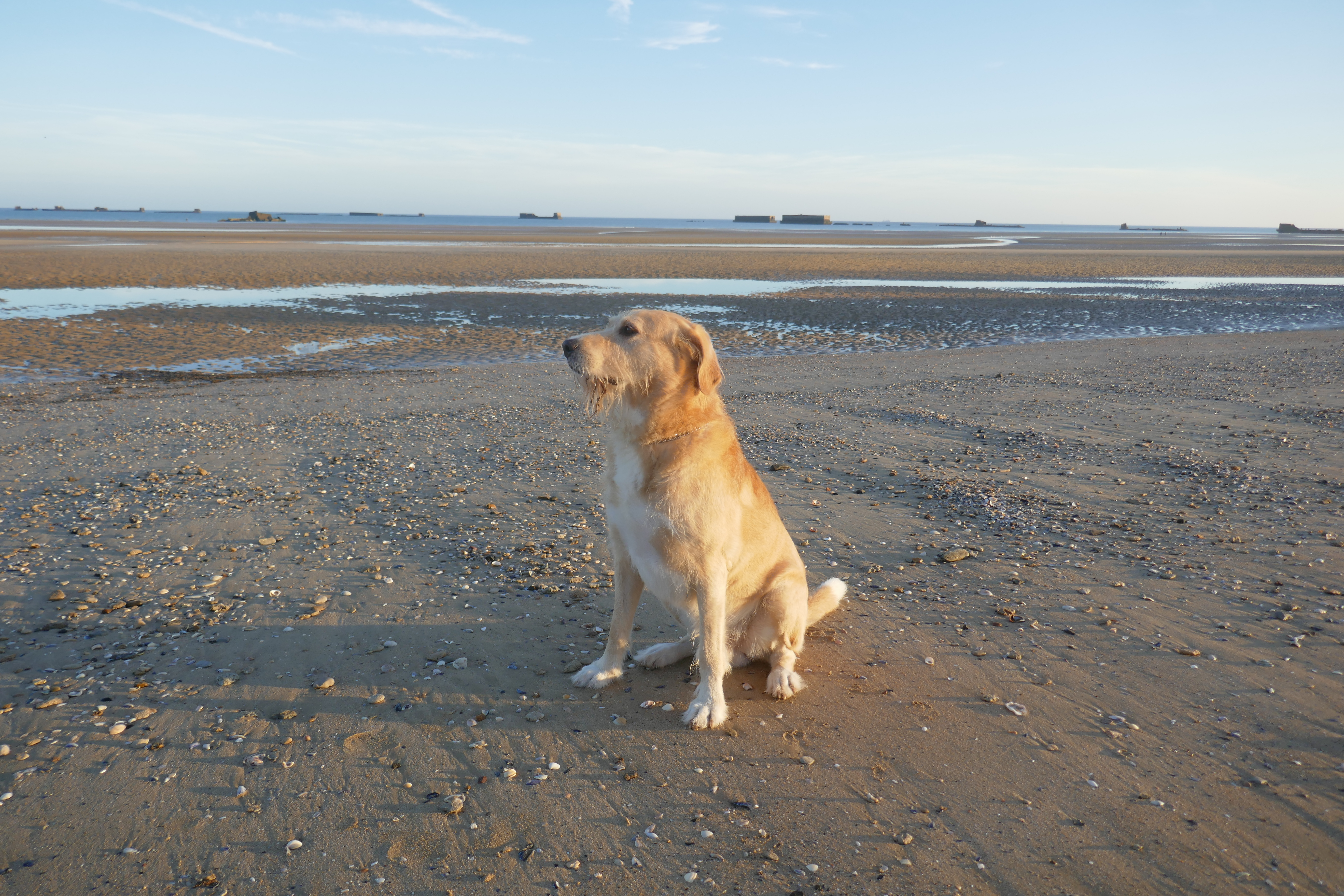 01-Spirit-op-Omaha-beach