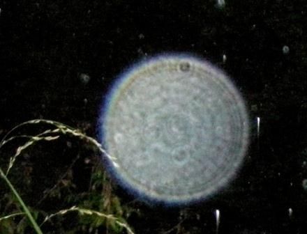 040-Classical-ORB