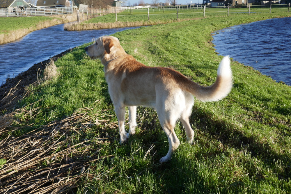 03a-Spirit-op-de-dijk