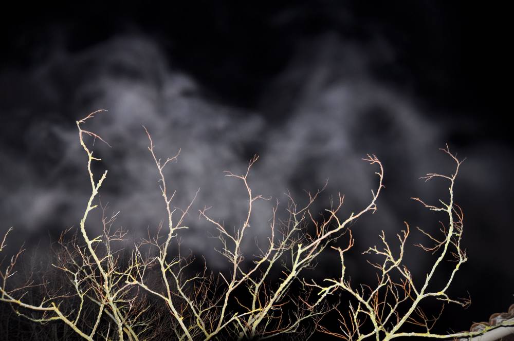 27-Cloud-achter-takken