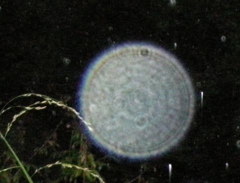 04-1-Klassieke-doorschijnende-Orb