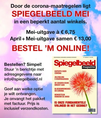 Spiegelbeeld-banner