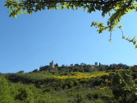 14-Rennes-le-Chateau